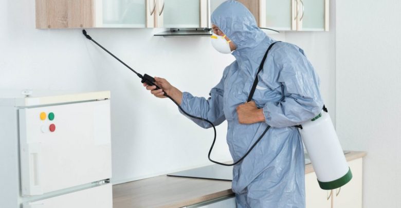 شركة مكافحة حشرات بالدمام 0561201152 1 شركة مكافحة حشرات بالدمام